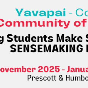 Helping Students Make Sense of the World - NonMember